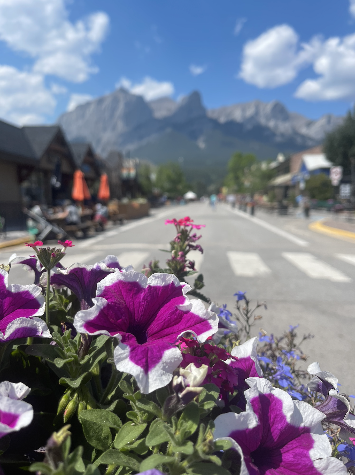 Summer in Downtown Canmore